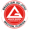 logo 300x300